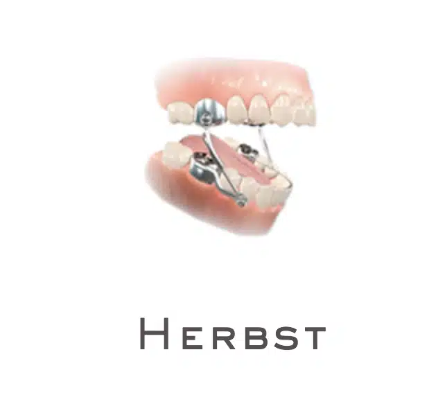 herbst.png